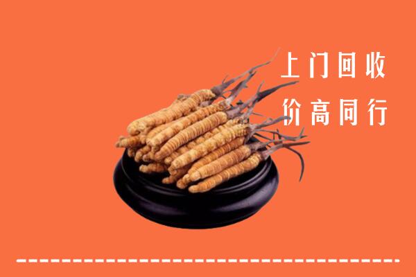 高价求购：长沙市岳麓区回收散虫草