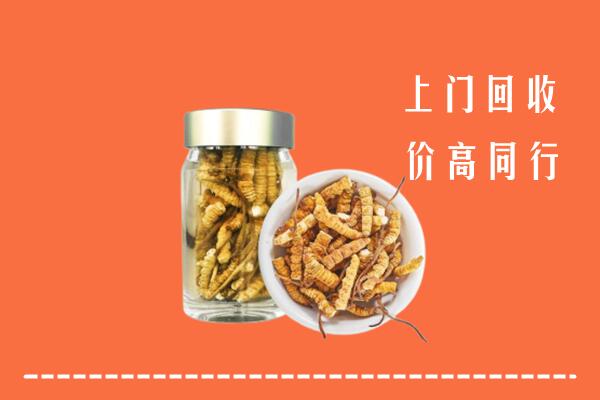 长沙市岳麓区回收冬虫夏草